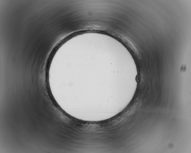 X0000102870784200809151234