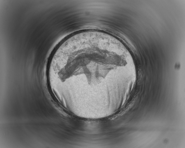 X0000102870788200809151234