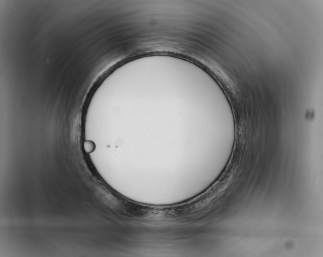 X0000102870790200809151234