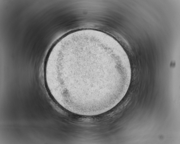 X0000102870792200809151234