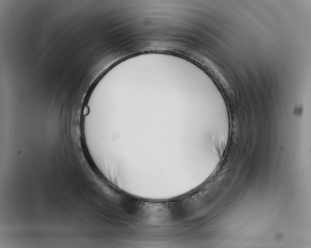 X0000102870794200809151234