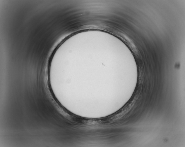 X0000102870796200809151234