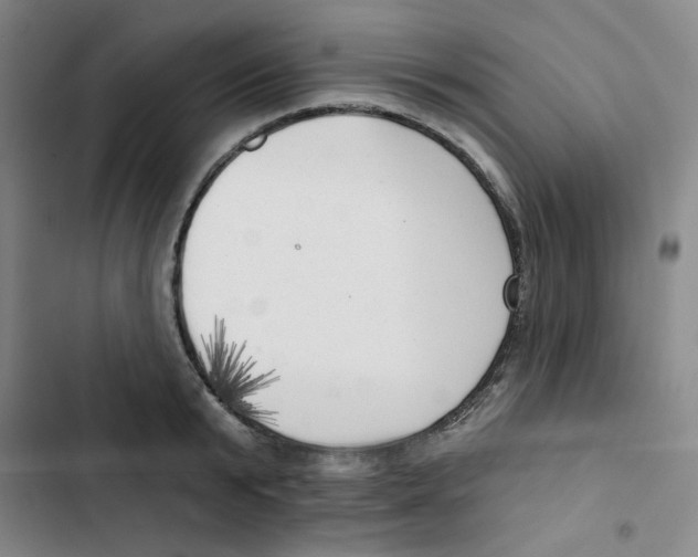 X0000102870799200809151234
