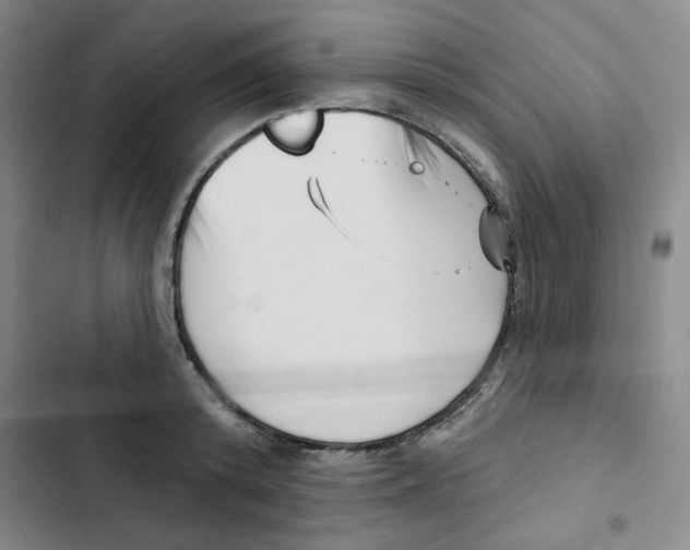 X0000102870800200809151234