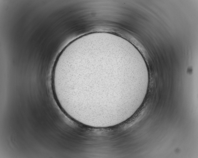 X0000102870803200809151234
