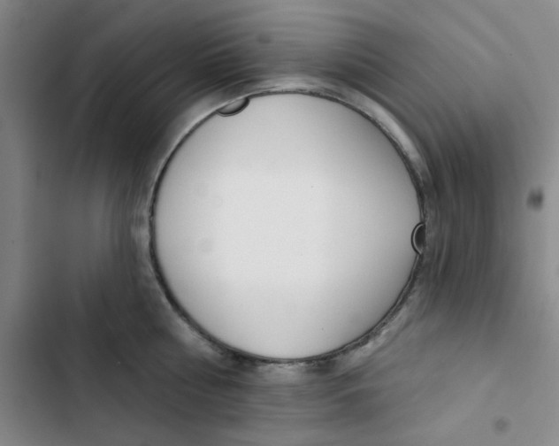 X0000102870810200809151234