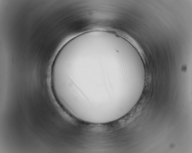 X0000102870811200809151234