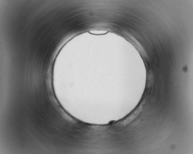 X0000102870812200809151234