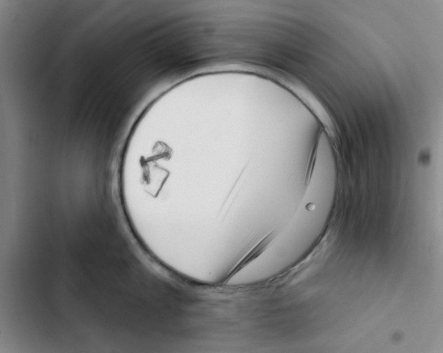 X0000102870813200809151234