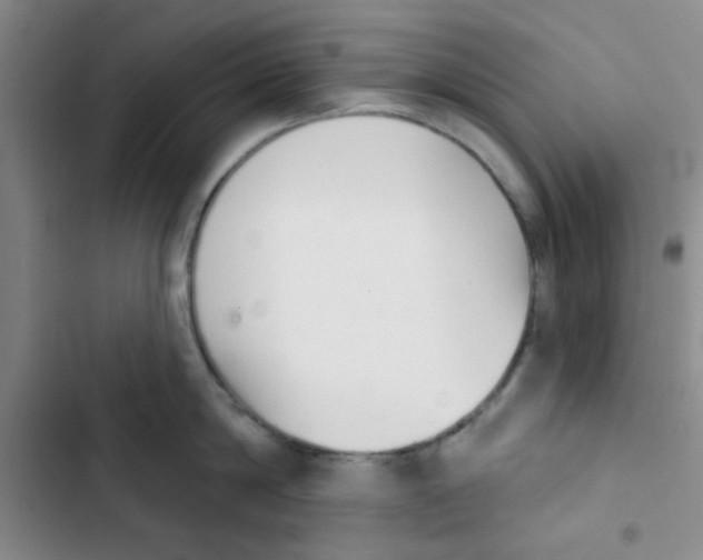 X0000102870814200809151233