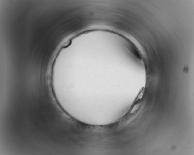 X0000102870815200809151233
