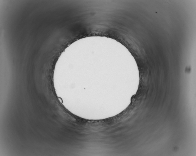 X0000102870817200809151233