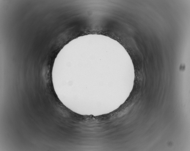 X0000102870818200809151233
