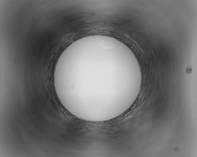 X0000102870820200809151233