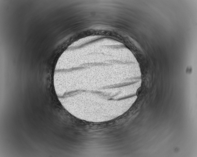 X0000102870821200809151233