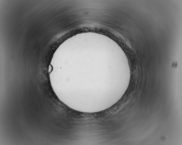 X0000102870822200809151233