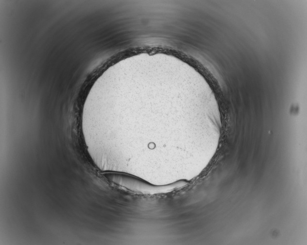 X0000102870823200809151233
