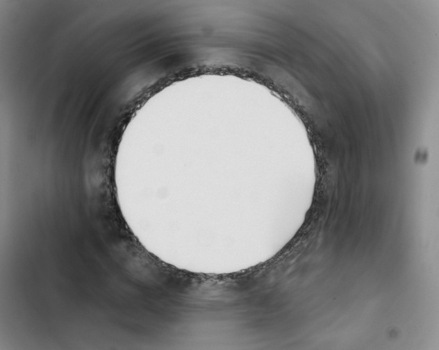 X0000102870824200809151233