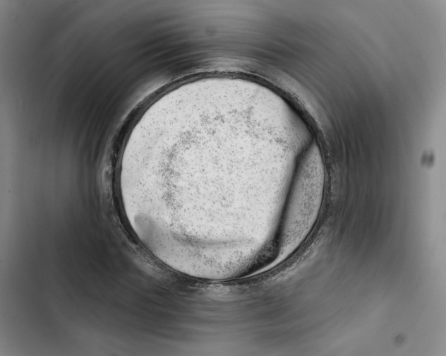 X0000102870827200809151233