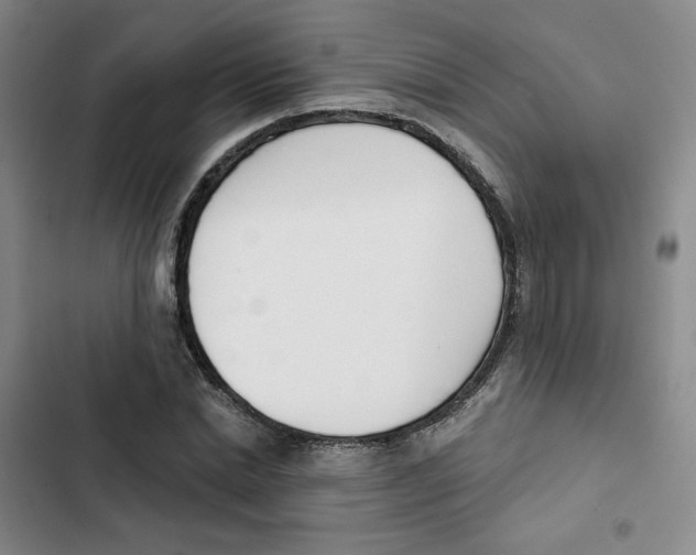 X0000102870830200809151233
