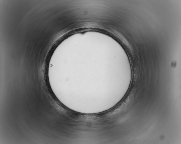 X0000102870831200809151233