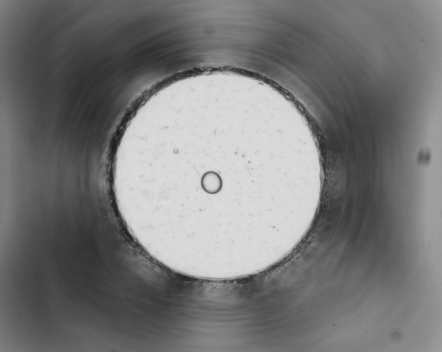X0000102870832200809151233