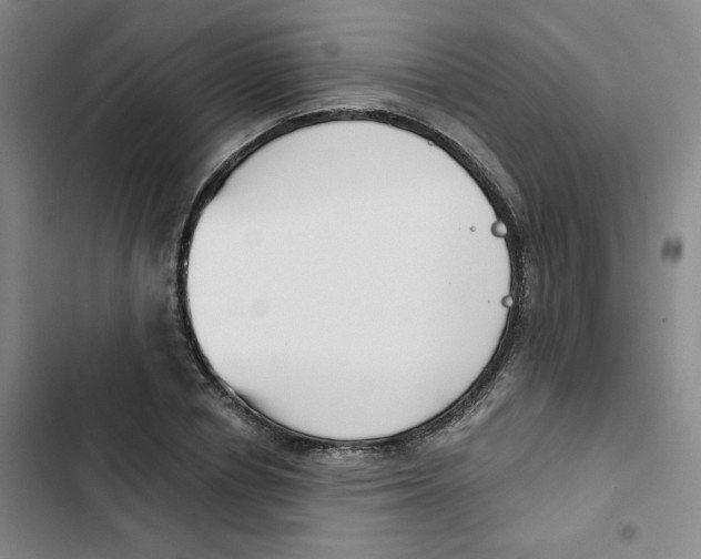 X0000102870834200809151233