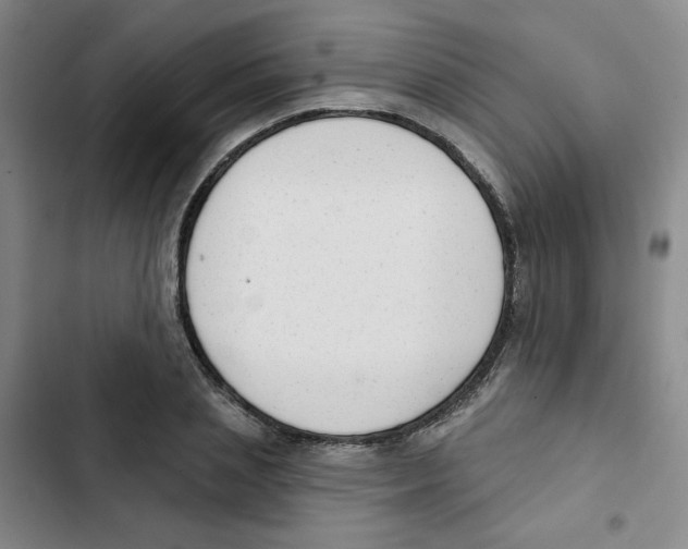 X0000102870837200809151233