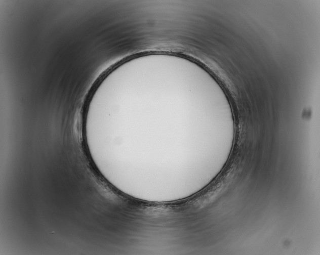 X0000102870838200809151233