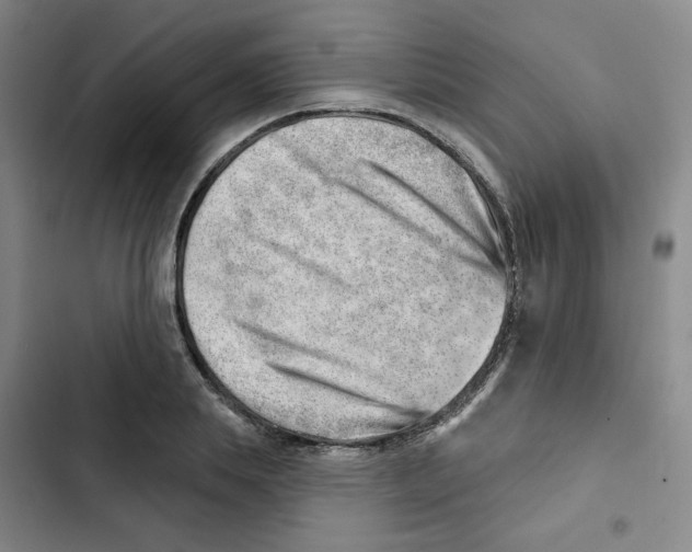 X0000102870839200809151233
