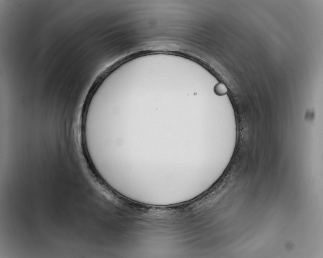 X0000102870840200809151233