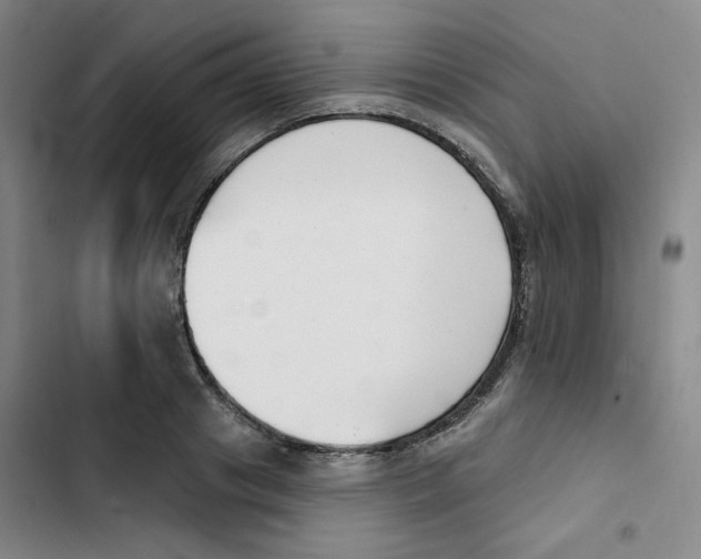 X0000102870841200809151233