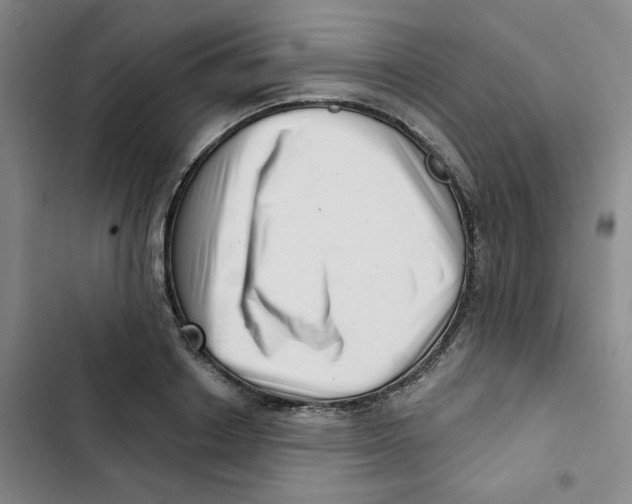 X0000102870842200809151233