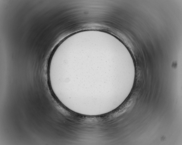 X0000102870843200809151233