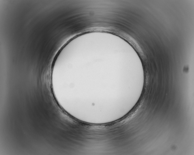 X0000102870844200809151233