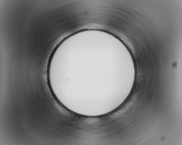 X0000102870845200809151233
