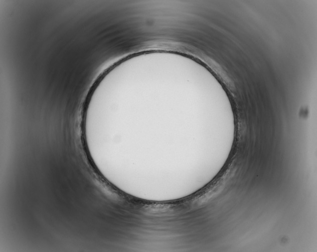 X0000102870846200809151233