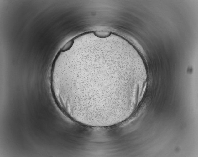 X0000102870847200809151233