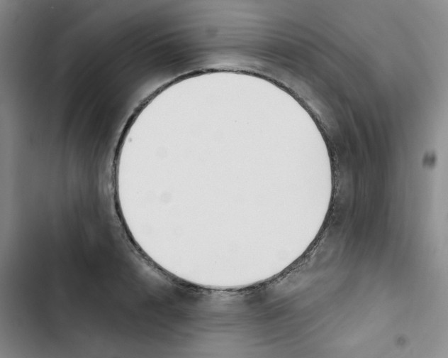 X0000102870848200809151233