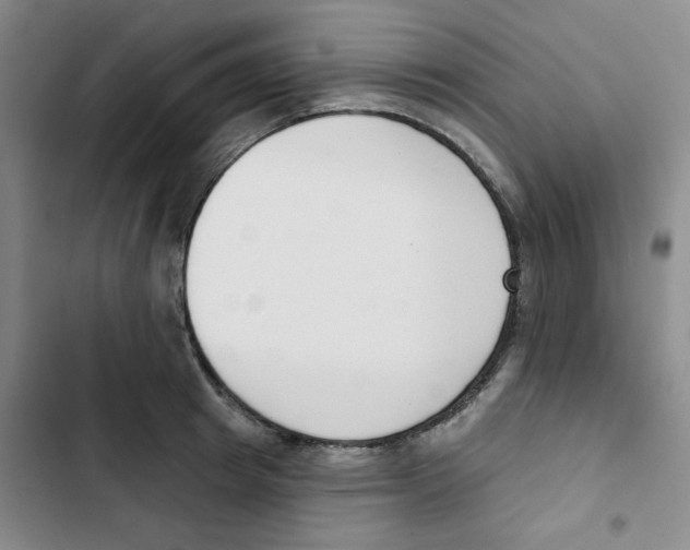 X0000102870849200809151233