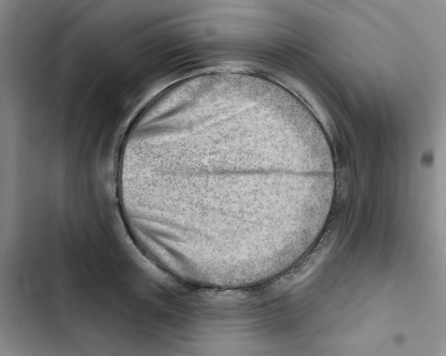 X0000102870851200809151233