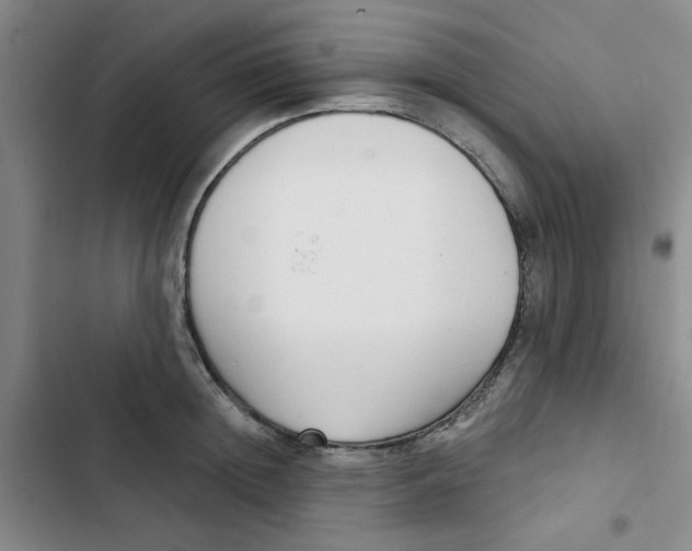 X0000102870852200809151233