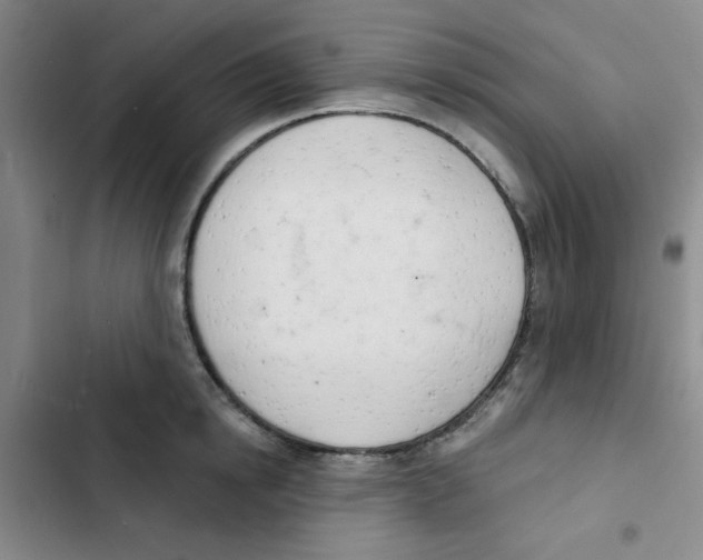 X0000102870854200809151233