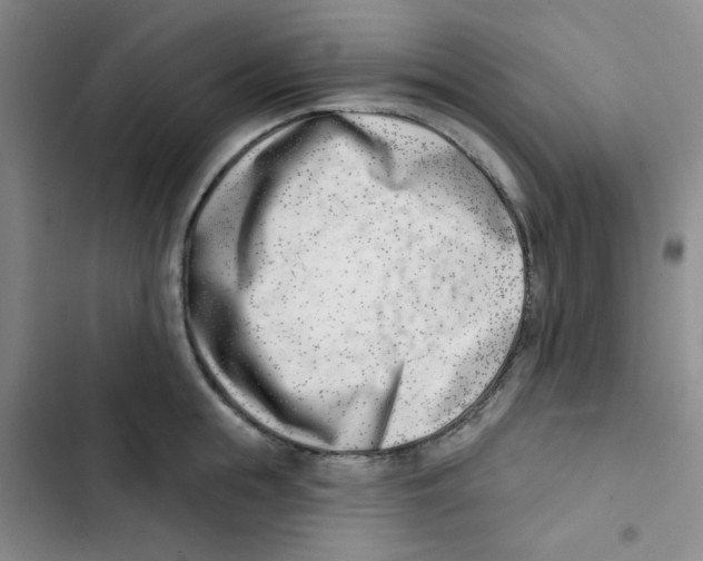 X0000102870855200809151233