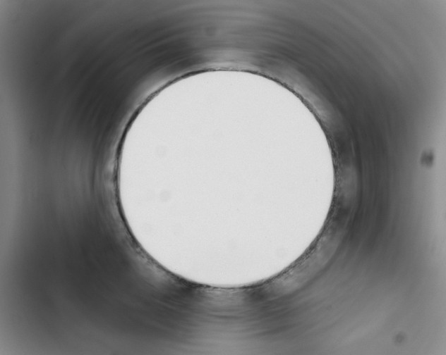 X0000102870856200809151233