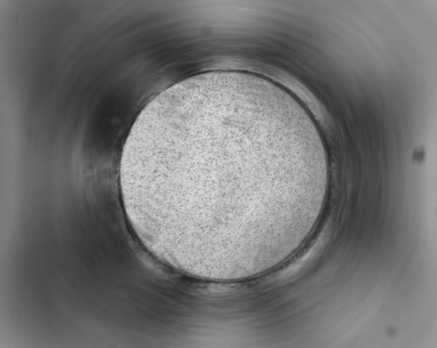 X0000102870857200809151233