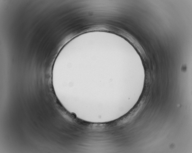 X0000102870858200809151233