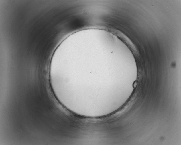 X0000102870860200809151233