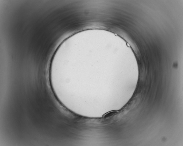 X0000102870861200809151233