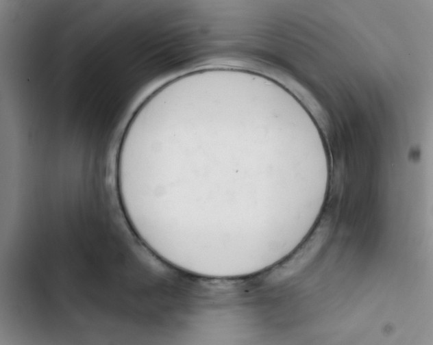 X0000102870862200809151233